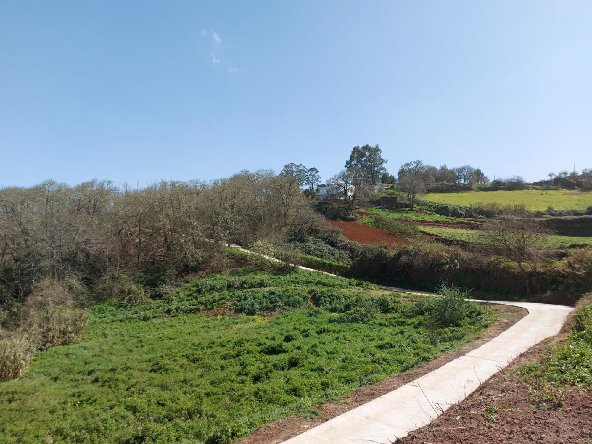 Finca Naturacanaria Moya  Exterior foto